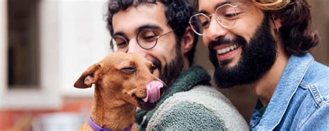 Pet Care Discount Program Pet Healthcare Savings United Pet Care