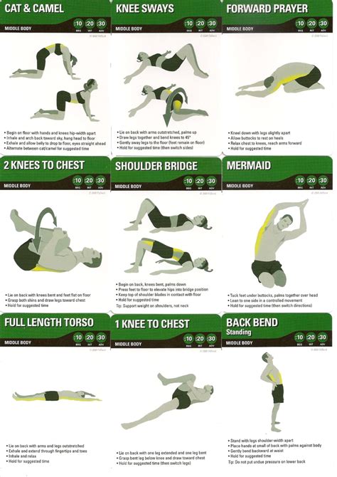 What Are The Types Of Flexibility Exercises - Popular ABS Workout