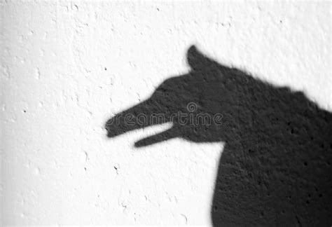 Shadow Of Animal Stock Photography - Image: 17173972