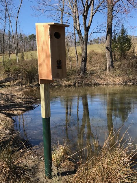 How To Build A Wood Duck Nest Box Feltmagnet