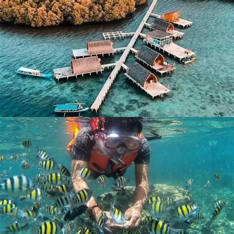 Tak Hanya Suguhkan Keindahan Pantai Yang Cantik Inilah Pesona Bawah