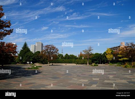 Tokyo Sky Tree And Kiba Park Stock Photo Alamy