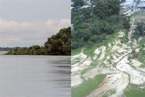 Estiagem Transforma Lago Margem Do Rio Negro Em C Rrego E Lama Al