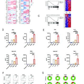 H24 NanoCARs Exhibit A Unique Transcriptional Profile Compared With