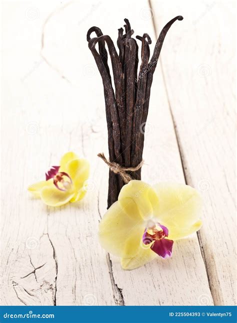 Dried Vanilla Pods And Orchid Vanilla Flowers On Wooden Table Stock