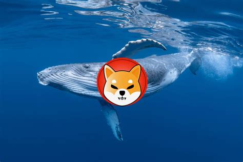 Shiba Inu Whale Moves 1 9M SHIB In 24 Hours