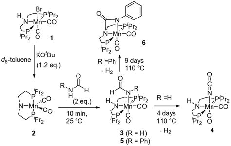 Reaction Of Formamide With In Situ Generated Complex 2 Download