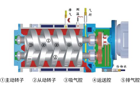 干式螺杆真空泵 德耐尔官网螺杆空压机 永磁变频空压机 真空泵 离心压缩机品牌厂家直销