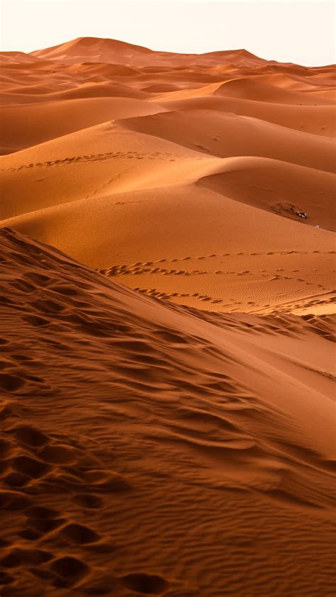 Desert Sand Wallpaper