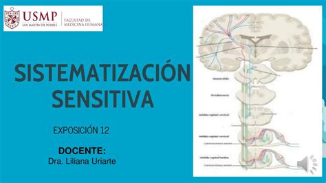 Exposición Sesión 12 Tiroxina Med uDocz