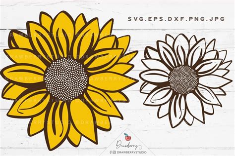 Sunflower Cut File Sunflower Svg File Flower Svg Sv080