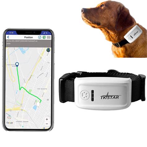 Gps Tracker For Animals at Jewel Jones blog