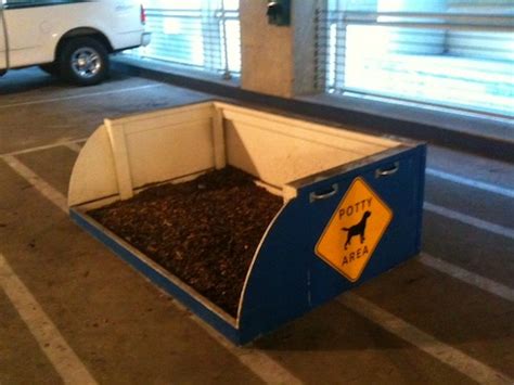 Dallasfort Worth International Airport Dfw Pet Relief Areas