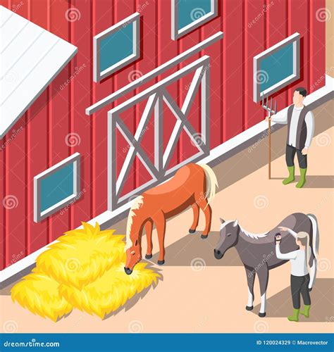 Horse Breeding Farm Stable Stall Poster Cartoon Vector Cartoondealer