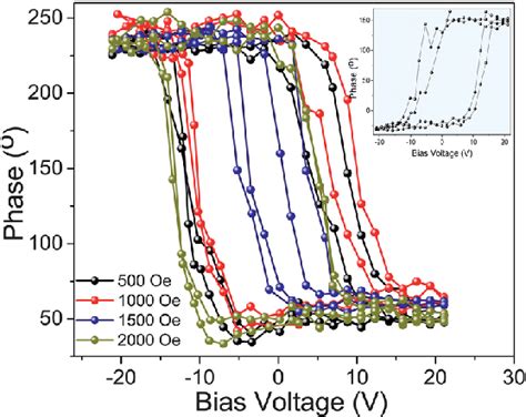 Phase Of Piezoresponse Of The BaTiO 3 CoFe 2 O 4 Bilayered Epitaxial