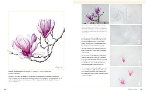 Botanical Art Techniques A Comprehensive Guide To Watercolor Graphite