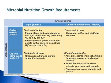 Ppt Microbial Nutrition And Growth Microbial Population Growth