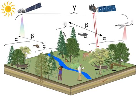 Decoding Satellite Based Vegetation Monitoring An Experts Guide