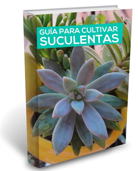 Gu A Para Cultivar Suculentas Libro Gratis Saperes