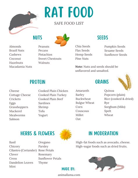 Safe Rat Food List: Veggies, Fruits, Nuts, Seeds, Herbs, Protein & More