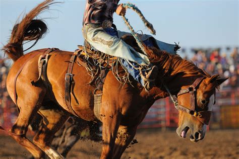 Texas Rodeo Cowboy Hall of Fame at Cowtown Coliseum in Fort Worth, Texas