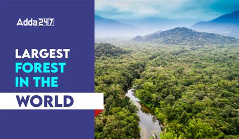 Largest Forest In The World List Of Top