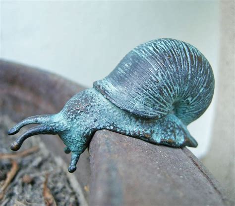 Bronzen Slak Als Beeld Gerichtekeuze Bronze Sculpture Snail Sculpture