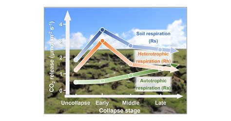 Divergent Trajectory Of Soil Autotrophic And Heterotrophic Respiration