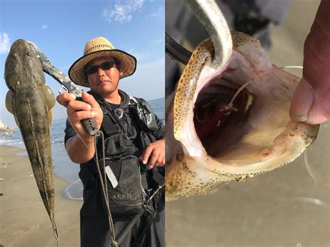 津サーフでヒラメ・マゴチを狙う！～三重県津市～ Fishing Lover 東海