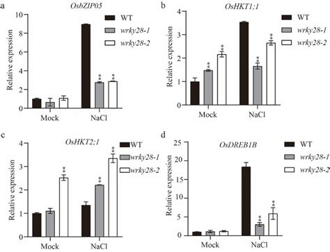 Expression Pattern Analysis Of Stress Responsive Genes A B C D The