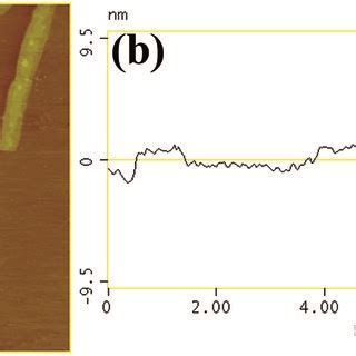 The Typical Afm Image A And The Corresponding Thickness Analysis