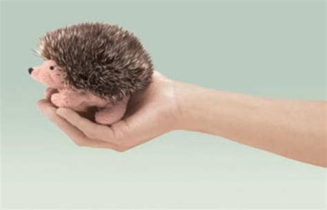 Folkmanis Fingerpuppe Mini Igel Handpuppen Onlineshop Living