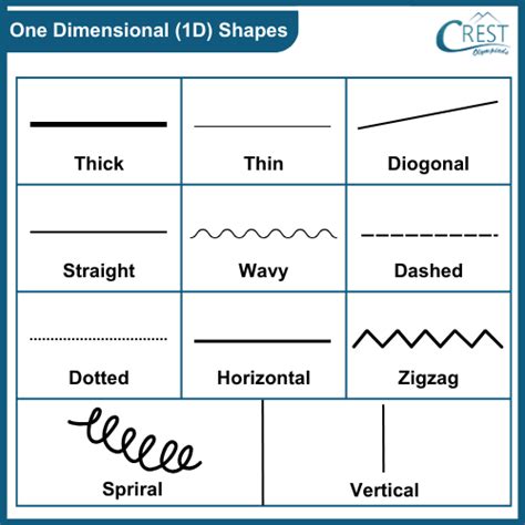 Geometric Shapes and Solids Class 2 Notes | Maths Olympiad