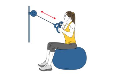 High Pulley Row On Fitball Exercises Workouts And Routines