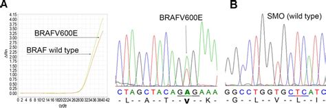 Representative findings showing a the BRAF mutation encoding V600E... | Download Scientific Diagram