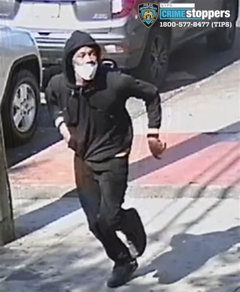 Help Identify An Assault Suspect The Bronx Daily