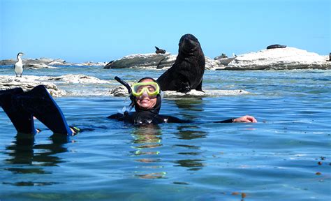 New Zealand Wildlife Tours | Active Adventures