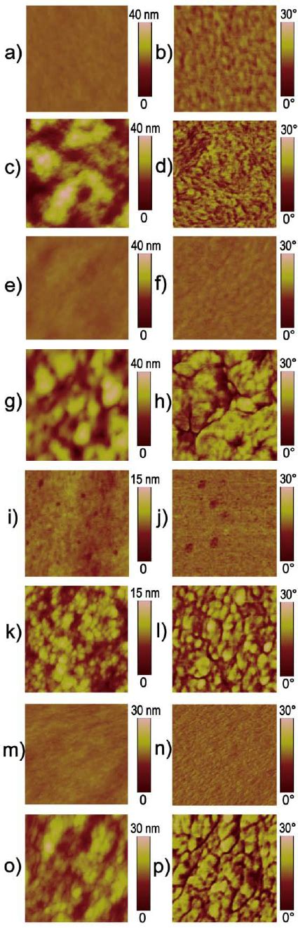 AFM Height Left And Phase Images Right Of PBDTTT C T PPDIDTT And