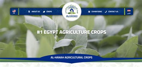 تصميم موقع حاصلات زراعية Agriculture Crops 🌿 تصميم موقع زراعي 🍋 تصميم