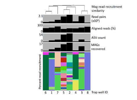 Summary Of Metagenomic Assembled Genomes MAGs From Eight Trap Wells