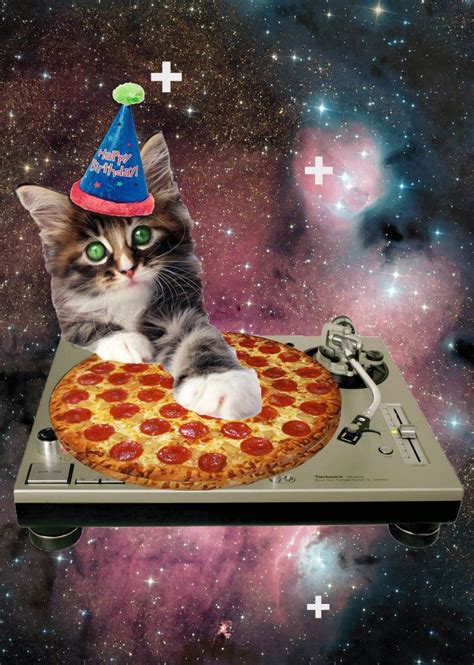 21 Cat Birthday Memes That Are Absolutely Purrrrfect Funny Gallery