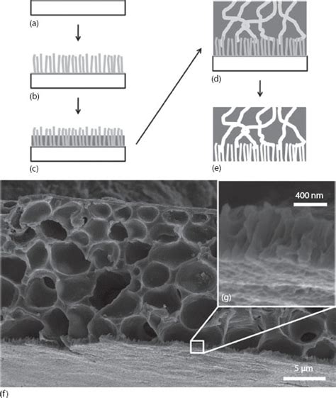 Nanofabrication Techniques and Their Applications in Drug Delivery ...