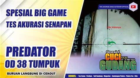 Senapan Angin Pcp Predator Od Tumpuk Spesial Big Game Milik