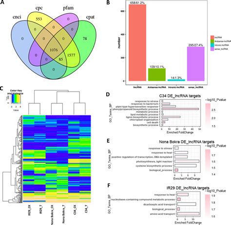 Characteristics Of Differential Expressed De Lncrnas And Their