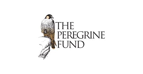 charitable giving  peregrine fund