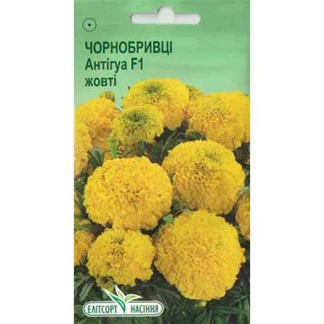 Чорнобривці Антігуа жовті Елітсорт (85969): купити насіння поштою в ...