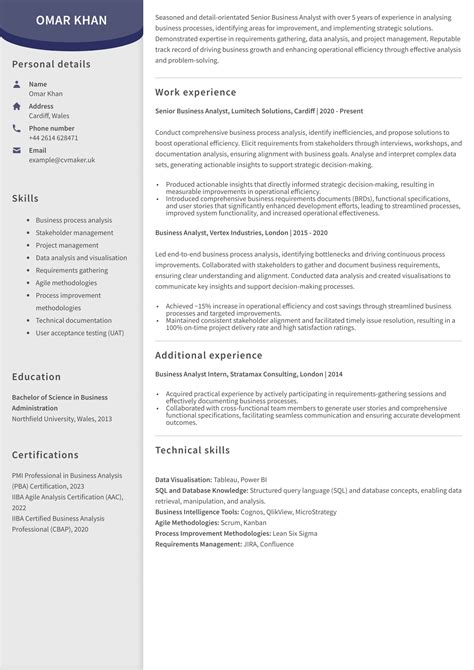 Professional Business Analyst CV Guide Examples 2024