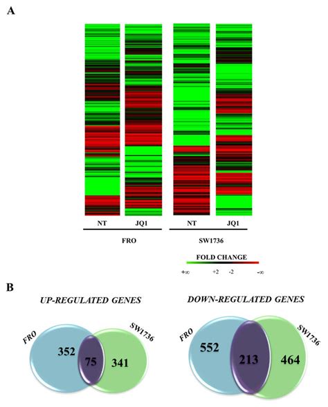 Gene Expression Modifications In Atc Jq1 Treated Cell Lines Panel A Download Scientific