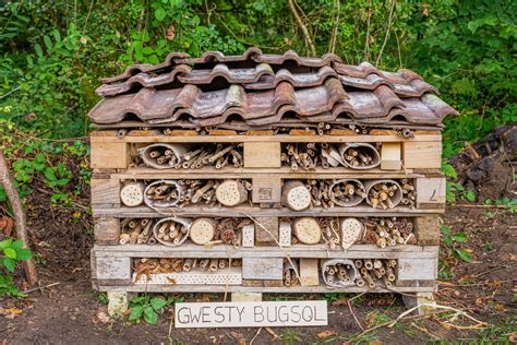 Build A Minibeast Hotel In Your Garden Great Glamorgan Way