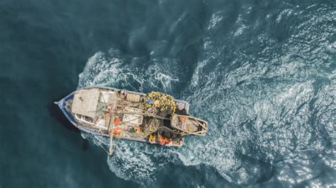 Callao Lima Peru 2020 Fisherman In Coasts Of Callao 2020 In Lima